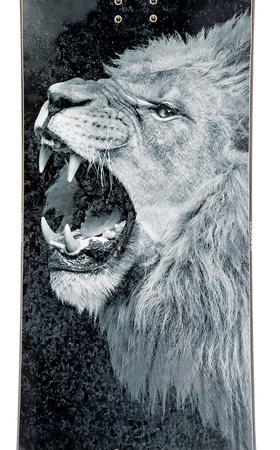 Męska deska Snowboard RAVEN Lion