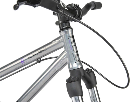 Radio Asura 26" Dirt Jump Bike