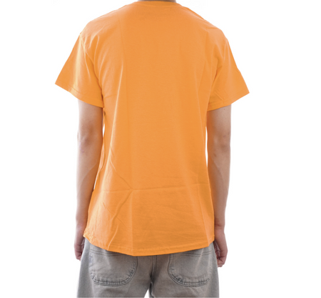 Koszulka Antihero - Basic Eagle gold/brown