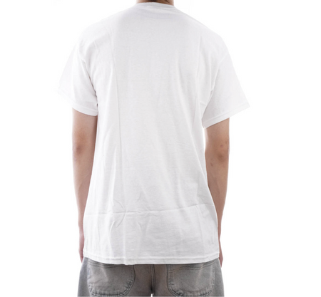 Koszulka Antihero -Eagle white/blue/multi