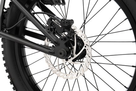 Rower BMX Wyczynowy - Wethepeople The Swamp Master 20"