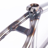 Rama Cult Shorty IC RAW 2023