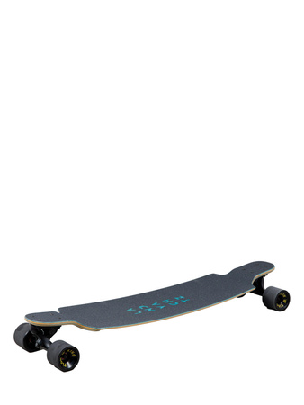 Longboard Landyachtz Rally Cat Heron
