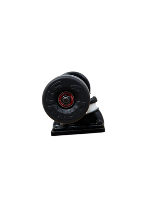 Longboard Landyachtz Rally Cat Heron