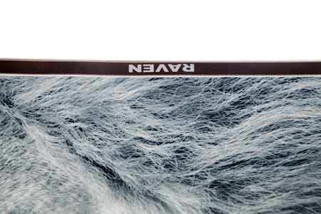 Męska deska Snowboard RAVEN Lion