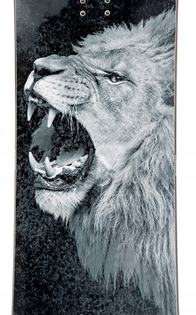 Męska Deska snowboardowa - RAVEN lion