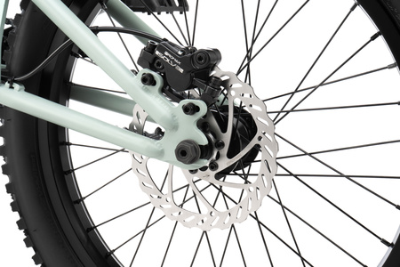 Rower BMX Wyczynowy - Wethepeople The Swamp Master 20"