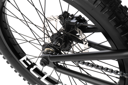 Rower BMX Wyczynowy - Wethepeople The Swamp Master 20"
